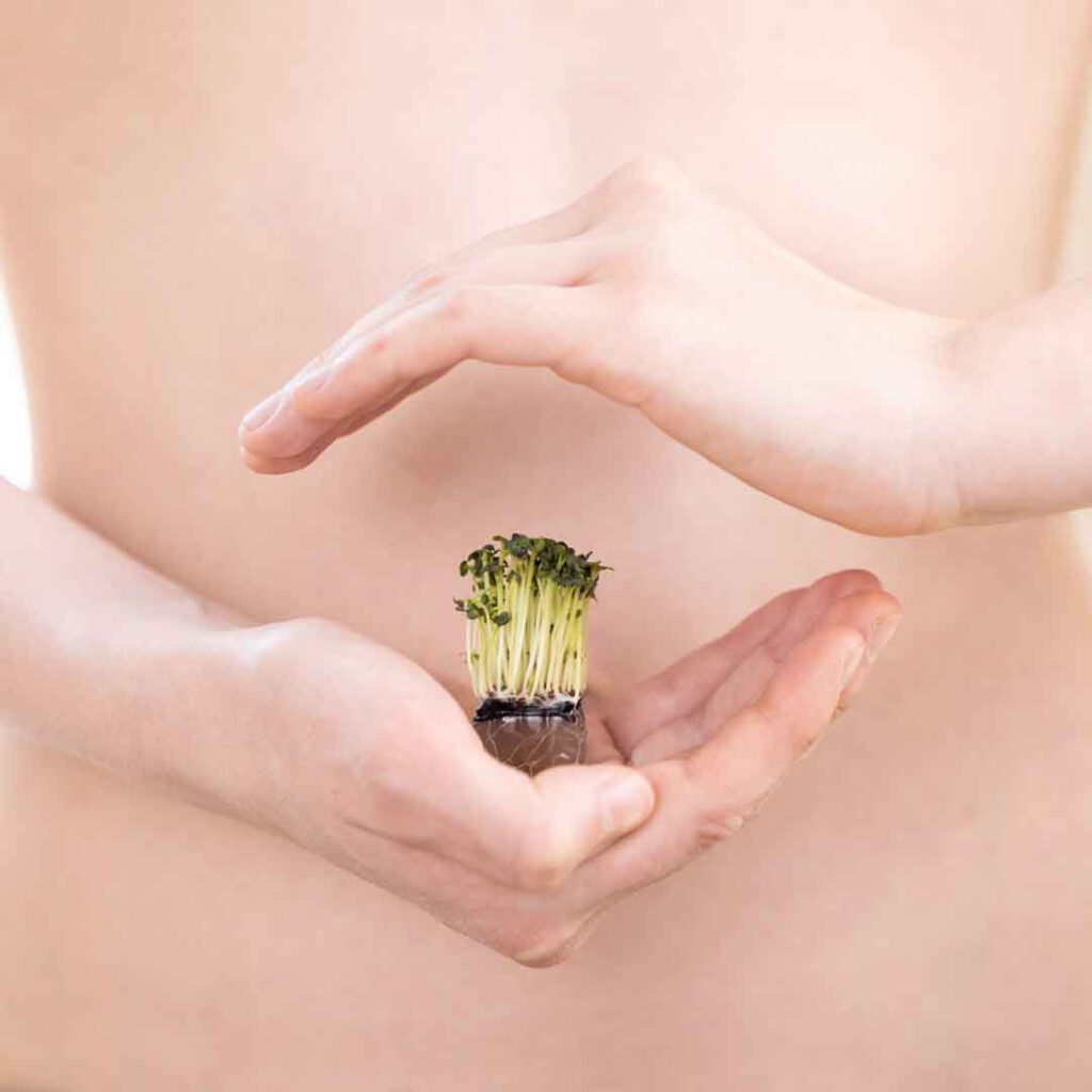 Come regolare il microbiota intestinale con CiboCi